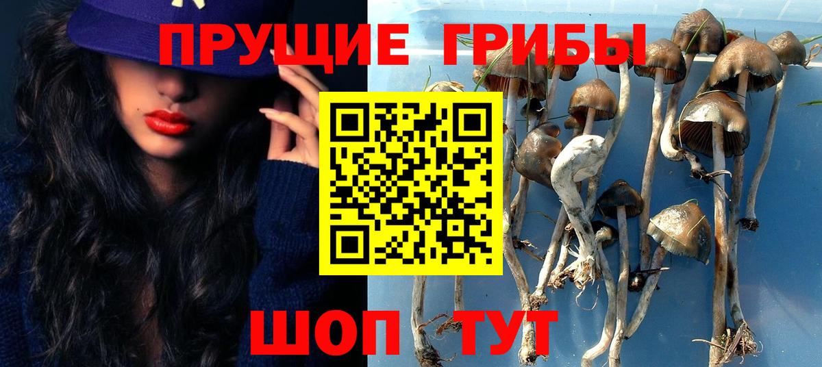 Псилоцибиновые грибы мухоморы  Вход с VPN  Зима 